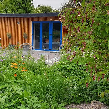 Вилла The Garden Retreat Килларни Экстерьер фото