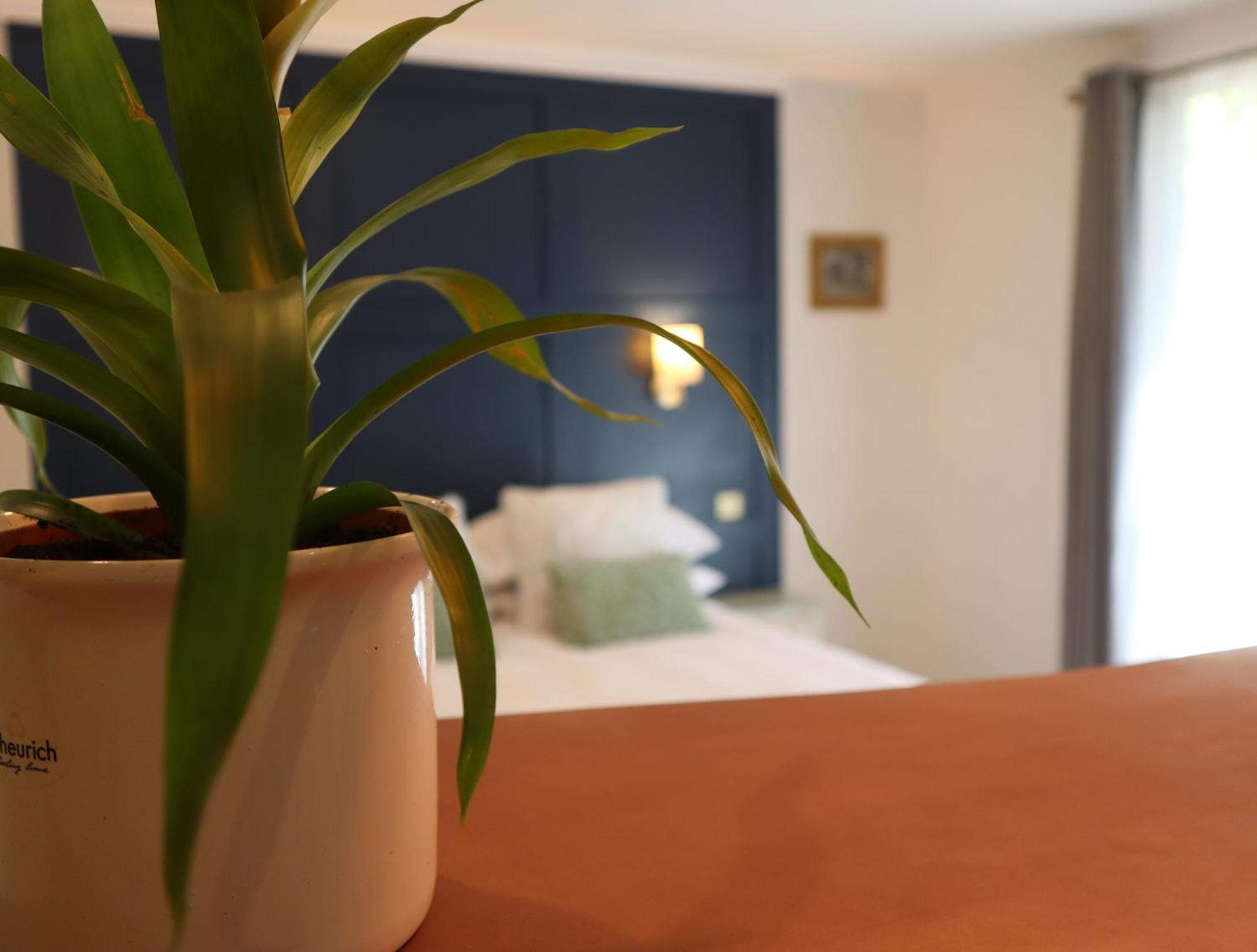 Вилла The Garden Retreat Килларни Экстерьер фото